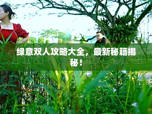绿意双人攻略大全，最新秘籍揭秘！
