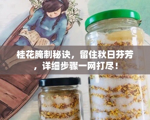 桂花腌制秘诀，留住秋日芬芳，详细步骤一网打尽！