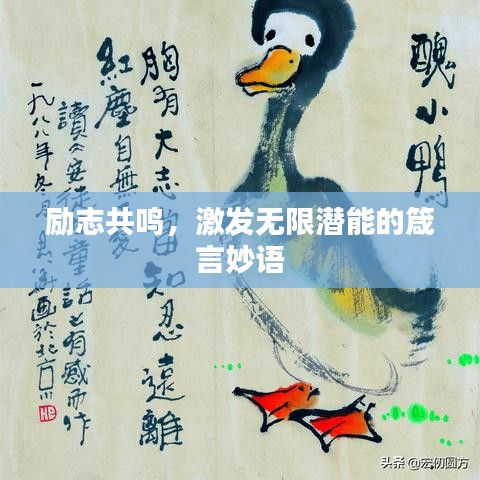 励志共鸣，激发无限潜能的箴言妙语