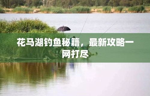 花马湖钓鱼秘籍，最新攻略一网打尽