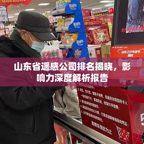山东省遥感公司排名揭晓，影响力深度解析报告