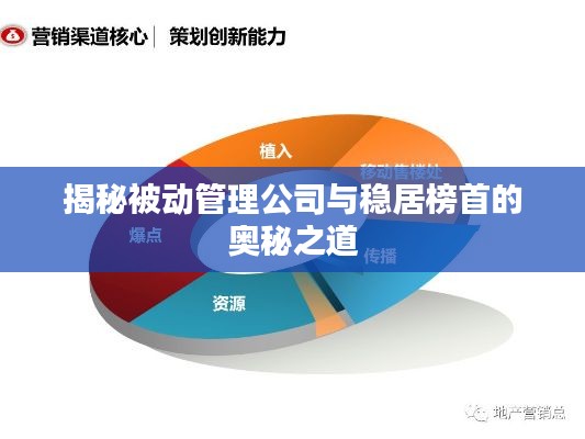 揭秘被动管理公司与稳居榜首的奥秘之道