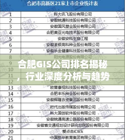 合肥GIS公司排名揭秘，行业深度分析与趋势解读