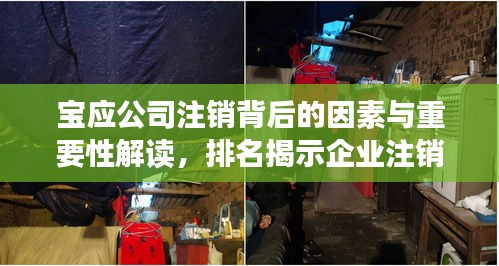宝应公司注销背后的因素与重要性解读，排名揭示企业注销真相