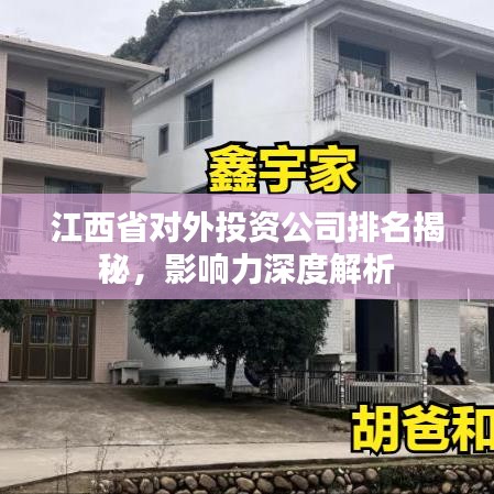 江西省对外投资公司排名揭秘，影响力深度解析