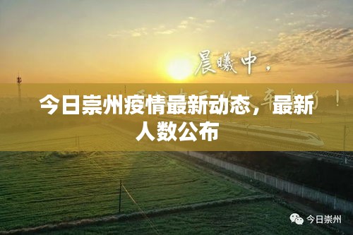 今日崇州疫情最新动态，最新人数公布