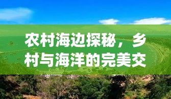 农村海边探秘，乡村与海洋的完美交融之旅攻略