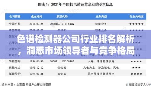 色谱检测器公司行业排名解析，洞悉市场领导者与竞争格局