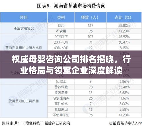 权威母婴咨询公司排名揭晓，行业格局与领军企业深度解读