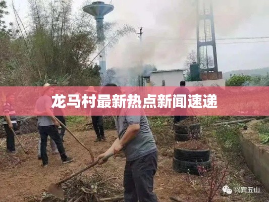 龙马村最新热点新闻速递