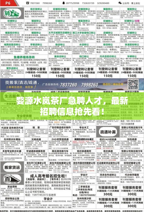 婺源水岚茶厂急聘人才，最新招聘信息抢先看！
