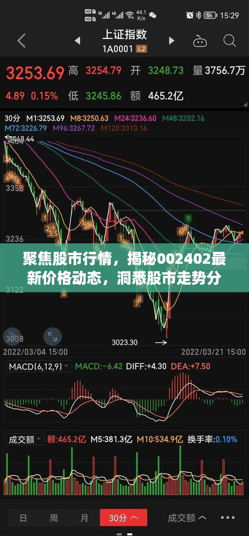 聚焦股市行情，揭秘002402最新价格动态，洞悉股市走势分析