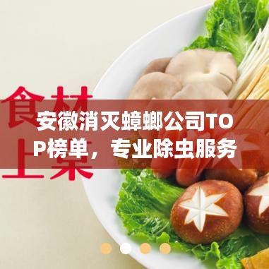 安徽消灭蟑螂公司TOP榜单，专业除虫服务一览无余！