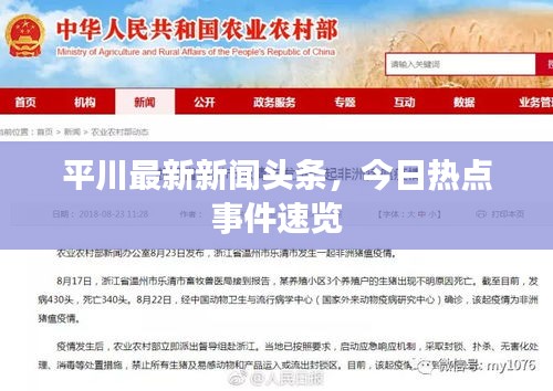 平川最新新闻头条，今日热点事件速览