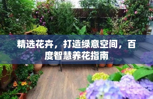 精选花卉，打造绿意空间，百度智慧养花指南