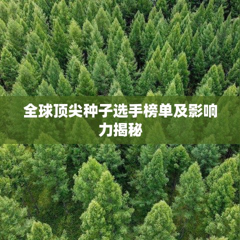 全球顶尖种子选手榜单及影响力揭秘