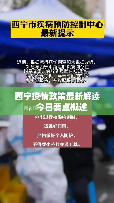 罗含梦鸟