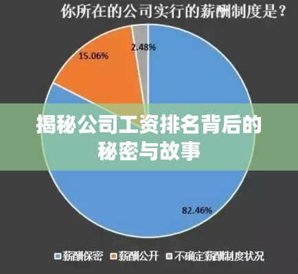 揭秘公司工资排名背后的秘密与故事