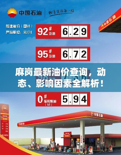 麻岗最新油价查询，动态、影响因素全解析！