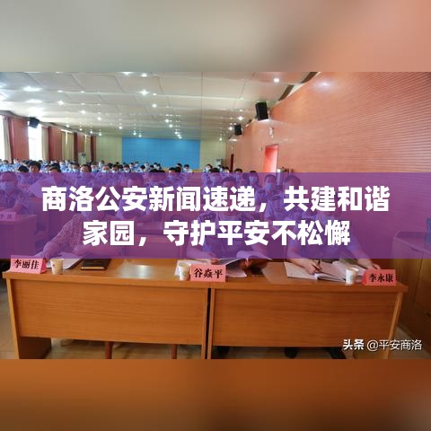 商洛公安新闻速递，共建和谐家园，守护平安不松懈