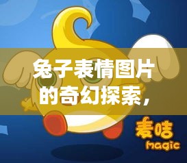 兔子表情图片的奇幻探索，一场百度搜寻的视觉盛宴