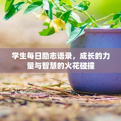 学生每日励志语录，成长的力量与智慧的火花碰撞
