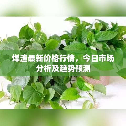 煤渣最新价格行情，今日市场分析及趋势预测