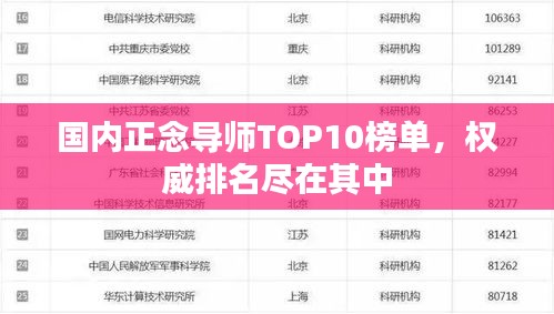 国内正念导师TOP10榜单，权威排名尽在其中