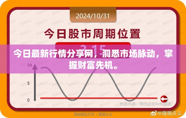 今日最新行情分享网，洞悉市场脉动，掌握财富先机。