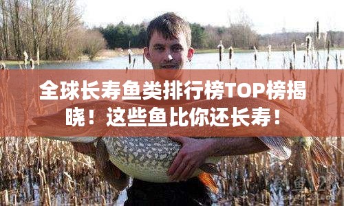 支付方式说明 第6页