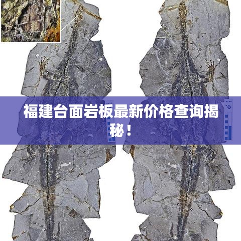 福建台面岩板最新价格查询揭秘！