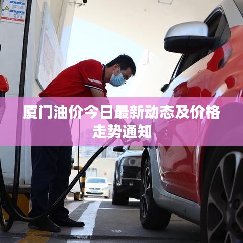 厦门油价今日最新动态及价格走势通知