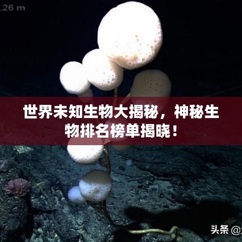 权贵显要