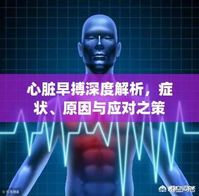 心脏早搏深度解析，症状、原因与应对之策