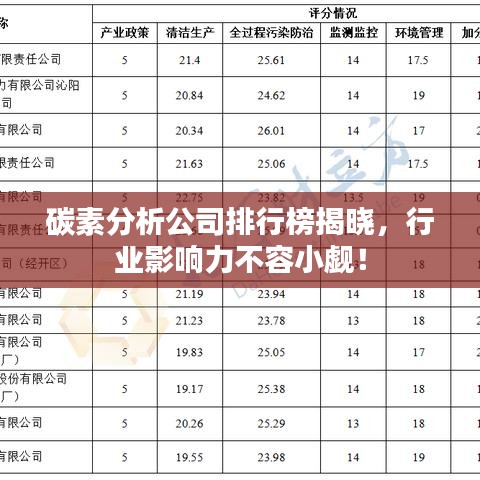 碳素分析公司排行榜揭晓，行业影响力不容小觑！