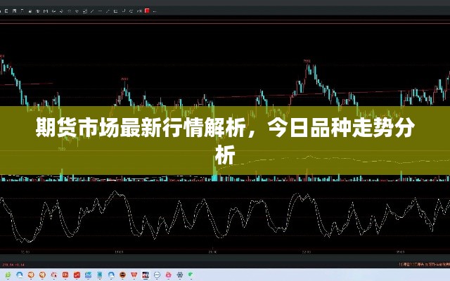 支付方式说明 第5页