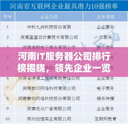 河南IT服务器公司排行榜揭晓，领先企业一览无余！