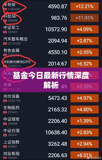 基金今日最新行情深度解析