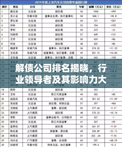 解债公司排名揭晓，行业领导者及其影响力大揭秘！