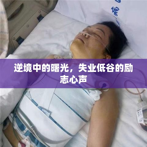 逆境中的曙光，失业低谷的励志心声