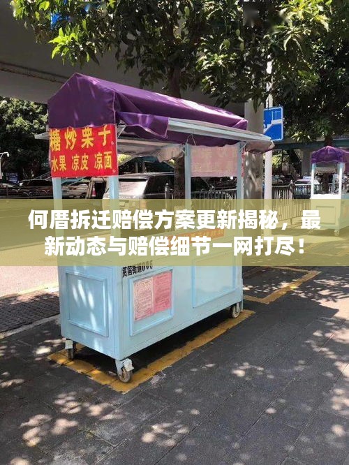 何厝拆迁赔偿方案更新揭秘，最新动态与赔偿细节一网打尽！