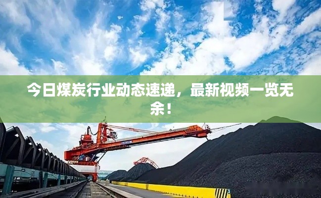 今日煤炭行业动态速递，最新视频一览无余！