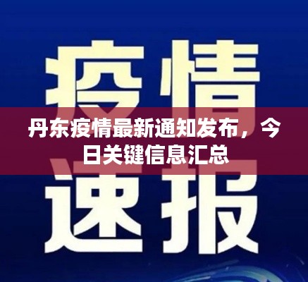 丹东疫情最新通知发布，今日关键信息汇总