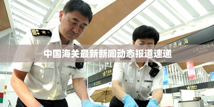 中国海关最新新闻动态报道速递