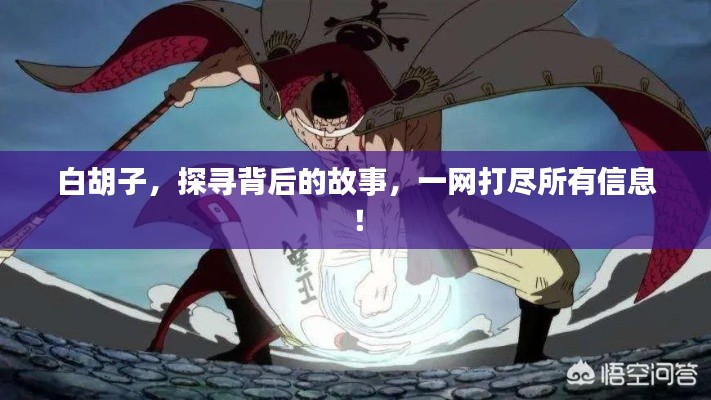 白胡子，探寻背后的故事，一网打尽所有信息！