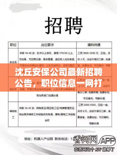沈丘安保公司最新招聘公告，职位信息一网打尽！