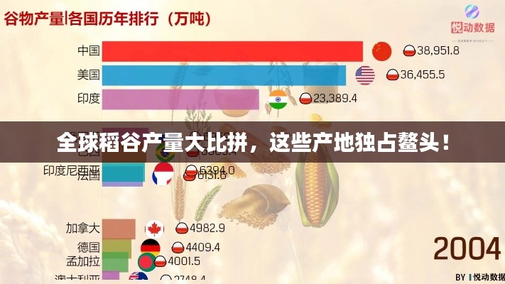 全球稻谷产量大比拼，这些产地独占鳌头！