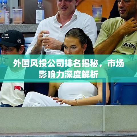 外国风投公司排名揭秘，市场影响力深度解析