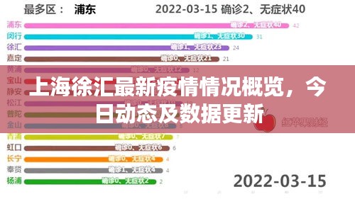 上海徐汇最新疫情情况概览，今日动态及数据更新