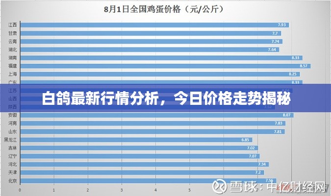 白鸽最新行情分析，今日价格走势揭秘